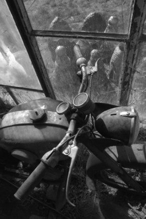 0000012280-DSC_0050nb