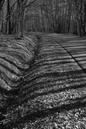 0000012280-DSC_0107nb